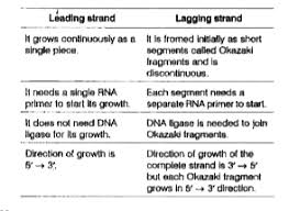Brick Exchange • Dna Replication