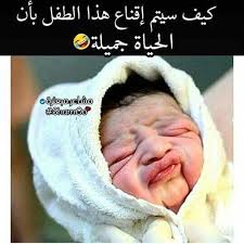 Desertrose مافيش فايده هههههههههه Funny Comments Funny Qoutes Dora Funny