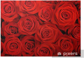 Image about love in ₍₎¹ ⃗ … flower. Poster Grande Mazzo Di Rose Rosse Pixers Viviamo Per Il Cambiamento