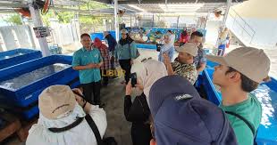 Banyak wahana permainan menarik yang bisa anda nikmati di pantai ini seperti menaiki banana boat, jetsky. Bercuti Dengan Keluarga Ke Teluk Kemang Jangan Lupa Singgah Pusat Ikan Hiasan Port Dickson Libur