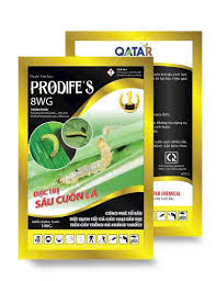 Prodife’s 8WG