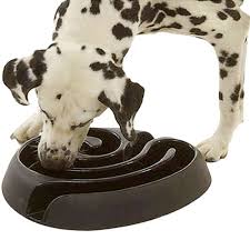 Read on to see the best dog puzzle games we love! 10 Fun Mind Games For Your Dog Fun Mind Games Brain Games For Dogs Dog Enrichment