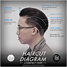 Hot Amazing Mens Haircut Chart Hairstyles Ideas Inspiration