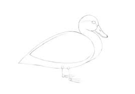 Check spelling or type a new query. Cara Menggambar Bebek