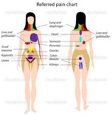 This causes pain sensitivity, intense discomfort, and stiffness in the lower left abdominal part. Pin On Bodywork