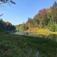 Cold hollow firewood offers 'green' firewood and. 2019 Spring Cold Hollow To Canada