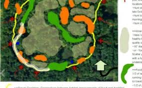 How travel to europe will change after brexit. Whitetail Travel Corridor Creations Whitetail Habitat Solutions