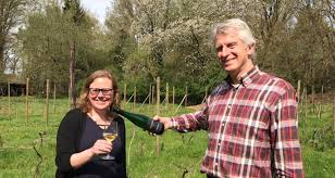 Markvallei, biologische wijn uit eigen land