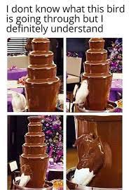 This mini chocolate fountain is available in 12 inch height and in different colors stainless steel and red. Anita Moorjani Who Else Can Relate To This Fake Bird In Facebook
