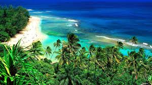 Diamond head, oahu, hawaii, usa, top view, brown and green crater. Hawaii Wallpaper 180 1920x1080 Pixel Wallpaperpass