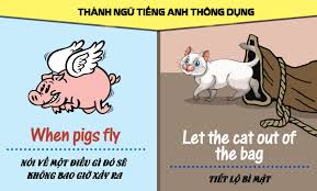 Đó là những gì có thể nói về tác giả blog này. 100 Cau Thanh Ngá»¯ Tiáº¿ng Anh Idioms Thong Dá»¥ng Trong Tiáº¿ng Anh Anhngumshoa Com