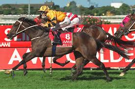 Episode 507: Scott Seamer remembers his golden group 1 run of early 2000's  — JOHN TAPP RACING