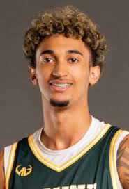 WAYNE STATE MEN'S BASKETBALL