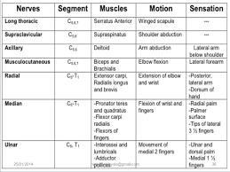 brachial plexus injuries by dr rashi goel pt