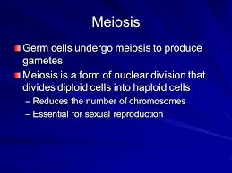 Check spelling or type a new query. Chapter 11 Introduction To Genetics Chromosomes And Cells Two General Types Of Cells Somatic Cells Body Cells That Make Up The Tissues And Organs Gametes Sex Ppt Download