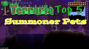 This is a easy guide about getting all the pets added in 1.2 overview hello! Terraria Top 5 Summoner Pets Terraria Countdown Video Dailymotion