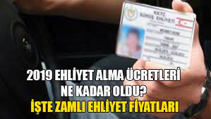 kedi kimligi cikartma ucreti 2019 kedi hayvanlari blog