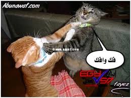 البنات ما تستغني عن تليفونها لانها تقضي معه جميع و قتها. Ø¨Ù†Ø§Øª Ù…Ø¶Ø­ÙƒÙ‡ ØµÙˆØ± Ù…Ø¶Ø­ÙƒØ© Ø¹Ù† Ø§Ù„Ø¨Ù†Ø§Øª Ø±ÙˆØ­ Ø§Ø·ÙØ§Ù„
