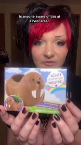 Dollar Tree Ceramic Animal Planter