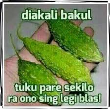  Blog Humor Disini Berbagi Gratis Kumpulan Gambar2 Dp Meme Lucu Terbaru Paling Gokil Dan Bikin Ngakak Untuk Dp Bbm Android Dan Komen Lucu Gambar Lucu Meme Lucu