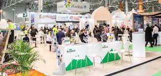 Era vorba de plaza românia. In Arena Doar O Luna Pana La Targul De Turism Al Romaniei 2020 Acc Media Channel