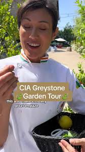 Nature's pantry comes alive at the Culinary Institute's Greystone campus  gardens! 🍃🌳 #Proud2beCIA #cheflife #culinaryschool  #theculinaryinstituteofamerica #CIAGreystone #fyp #tiktokfoodie #foodie ...