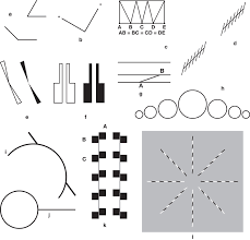 This effect may be caused by economic compensation for the gap between the physical stimulus and visual fields. Other Old Illusions A Again A Major Muller Lyer Illusion The Download Scientific Diagram