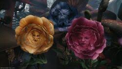 Check spelling or type a new query. The Flowers Alice In Wonderland Wiki Fandom