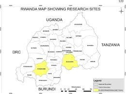 Image result for Rubus kirungensis