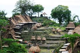 Read our guide to flores, indonesia, and discover the top 10 activities and sights not to miss in this flores is more than deserving of a spot on your indonesia itinerary, and here are some of the top. Bena Traditional Village On Flores Island Of Indonesia Picture Of Flores East Nusa Tenggara Tripadvisor