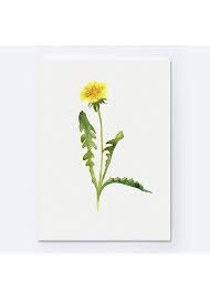 Common Dandelion Art Print Yellow Flower Abstract Watercolor Etsy Dandelion Art Dandelion Painting Flower Drawing