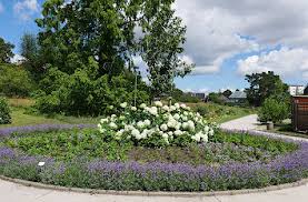 A total of 6 tours are available in rostock, germany. Quermania Botanischer Garten Universitat Rostock Historische Parkanlage