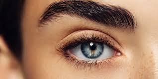 My lashes are falling out! Everything You Need To Know Before You Make An Eyelash Extension Appointment