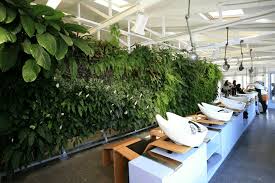 Over 320,262 beauty salon pictures to choose from, with no signup needed. Hair Salon Wall Green Hair Salon Interior Hair Salon Decor Hair Salon