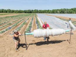 Summerweight garden fabric 6' x 20'. Philosophies On Floating Row Cover High Mowing Organic Non Gmo Seeds