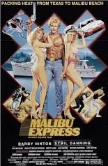 Malibu Express (1985) | Flick Attack