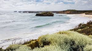Photo Surf koala et sentiers caillouteux : sur la Great Ocean Road cette ...
