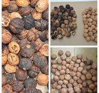Taiho Macadamia Nuts Shell Kernel Color Sorting Machine Walnut Color Sorter