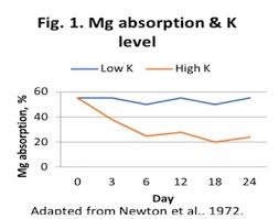 Image result for Tetany