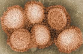 Sorption to aerosols (25 dec c)aerowin v1.00: Influenza A Virus Subtype H5n8 Wikipedia