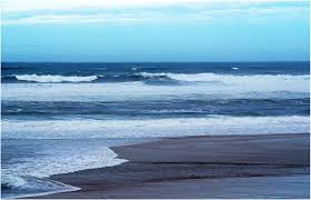 Book with confidence at orbitz! La Cote Landaise En Hiver Photo Et Image Europe France Aquitaine Images Fotocommunity