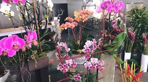 Maybe you would like to learn more about one of these? Rendezvous Flowers Home Facebook
