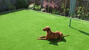 We use cookies to ensure that we give you the best experience on. Artificial Grass Dubai Is Great For Pets Easigrass Middle East