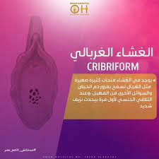 استكمالا موضوع البعبع غشاء البكارة هنتكلم النهاردة عن أنواع غشاء البكارة ولتسهيل ال المعلومة كتبنا أهم المعلو incoming call screenshot incoming call hospital