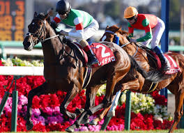 japanese derby hero wins st leger prep tdn thoroughbred