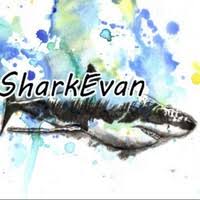Is it allowed in islam? Can You Eat Shark Meat Quora