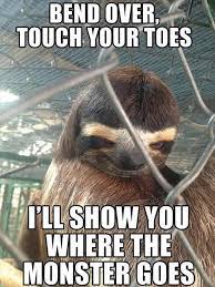 Make your own images with our meme generator or animated gif maker. Good Old Rapey Sloth Memes