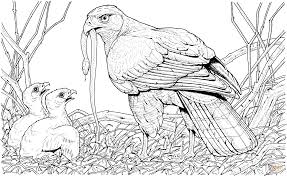 Kleurplaat lego slang / mewarnai oyeye: Arend Brengt Een Slang Voor Zijn Jongen Kleurplaat Gratis Kleurplaten Printen Coloring Pages