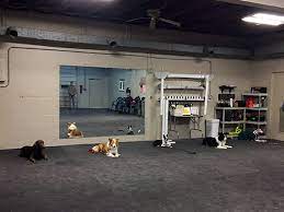 You make some really great pros and cons for training programs, personally i think if someone is going to buy or get a puppy or even an older dog that they should. Board And Train Programs Lancaster Pa Dog Sense