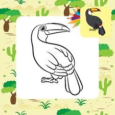 August 31, 2016 by danielle cranmer Toucan Coloring Page Clipart 1 566 198 Clip Arts